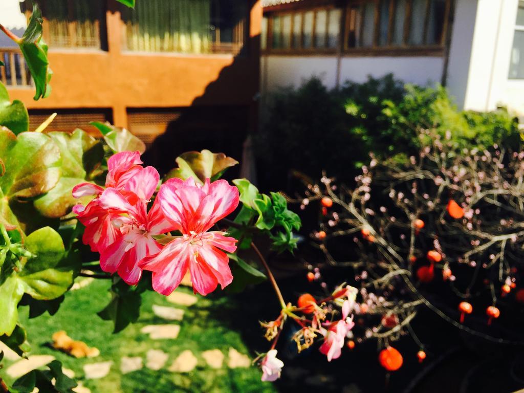 Lijiang Shuhe Qingtao Inn 외부 사진