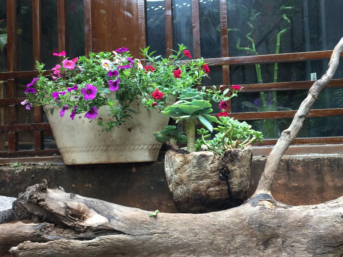 Lijiang Shuhe Qingtao Inn 외부 사진